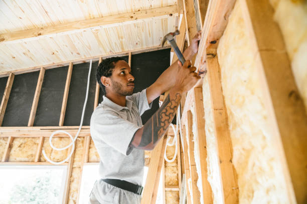 Best Insulation Contractors for Homes  in Terra Alta, WV