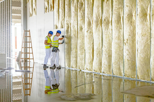 Best Professional Insulation Contractor  in Terra Alta, WV